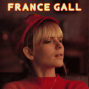 Gall AI Voice