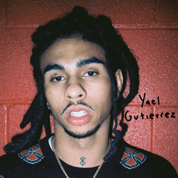Robb Bank$ Voice AI Voice