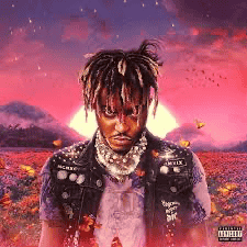 Juice wrld V2 Image