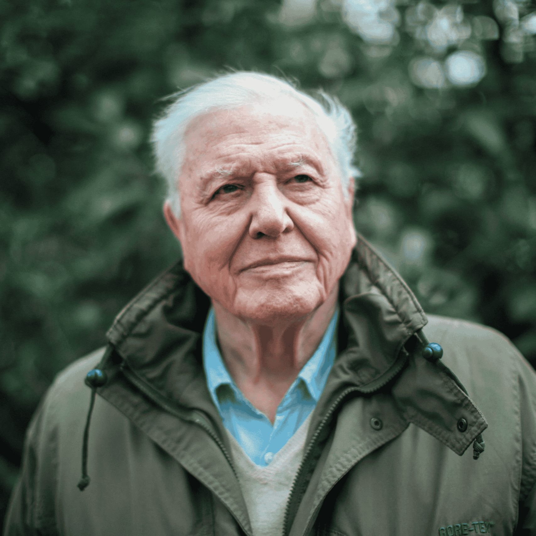 Sir David Attenborough Image