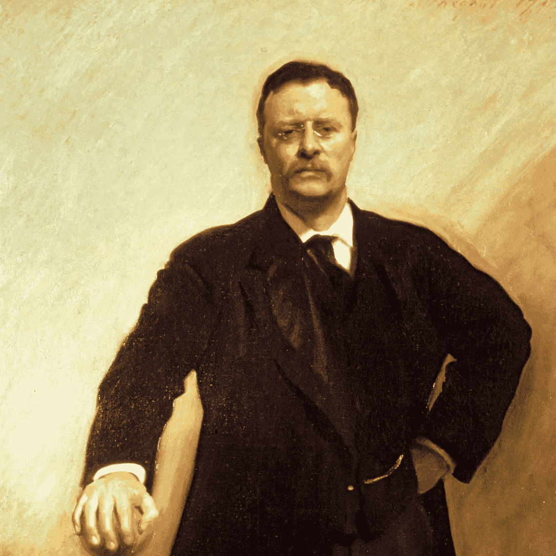 Theodore Roosevelt Image