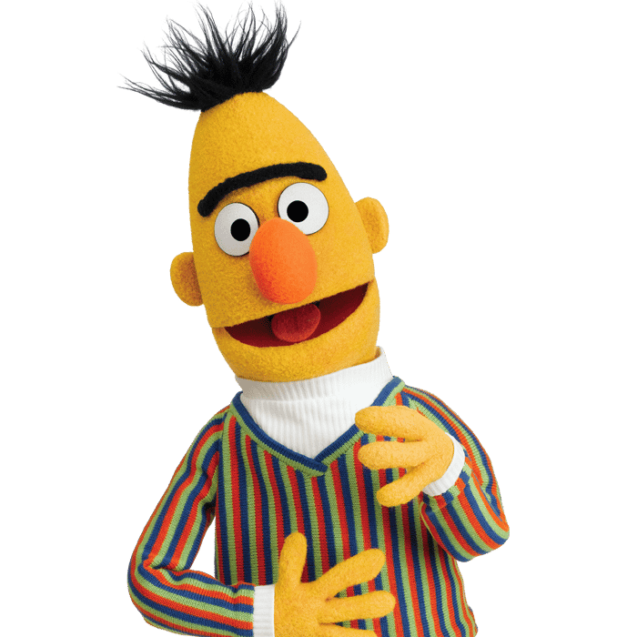 Bert From Sesame Street Image