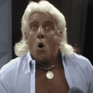 Ric Flair Image