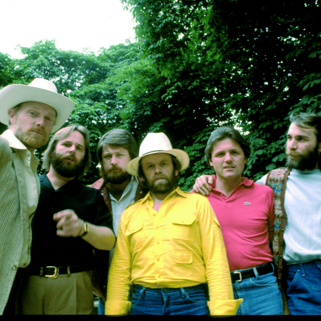 The Beach Boys  Image