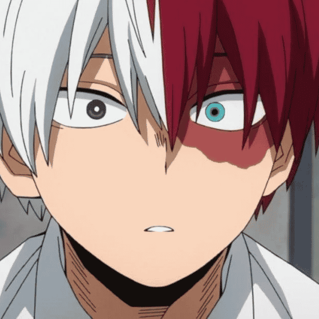 Todoroki Image