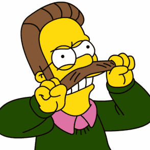 Ned Flanders Image