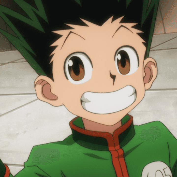 Gon Freecs Image