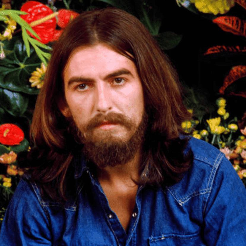 George Harrison (70s Era) Image