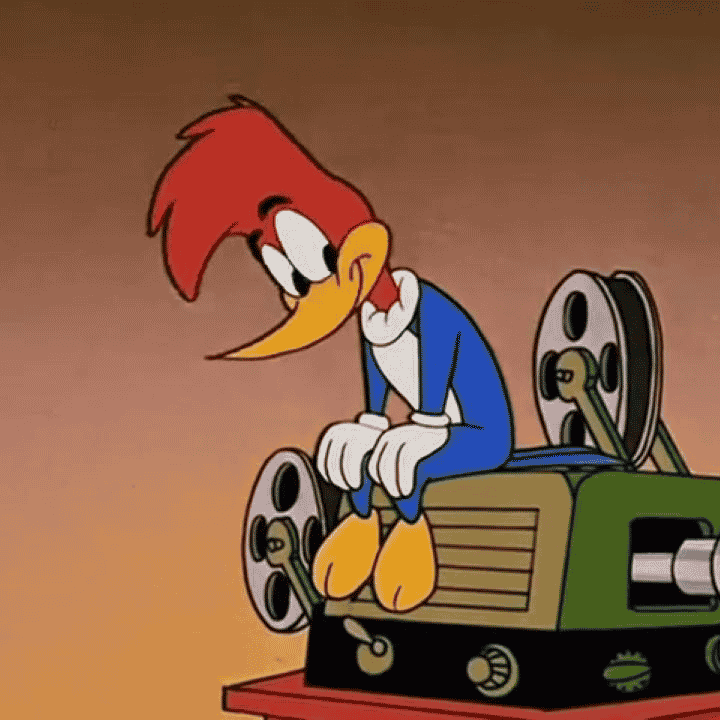 Woody Woodpecker Image