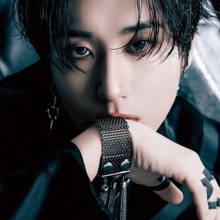 HAN OF STRAY KIDS AI Voice