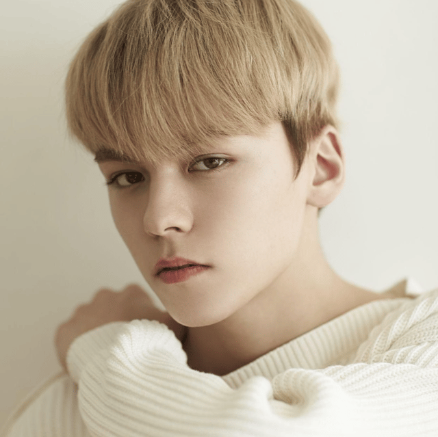 Vernon from Seventeen