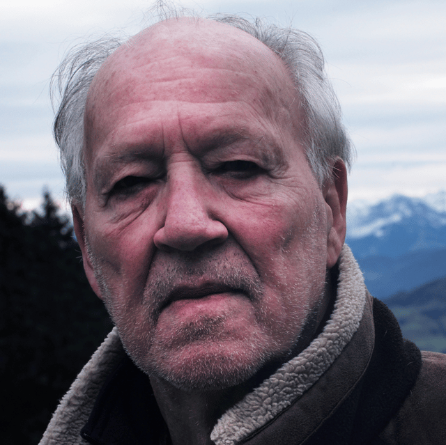 Werner Herzog (Based on The Twilight World)