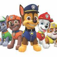 Marshall Paw Patrol