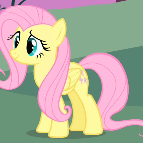 Fluttershy MLP Weights