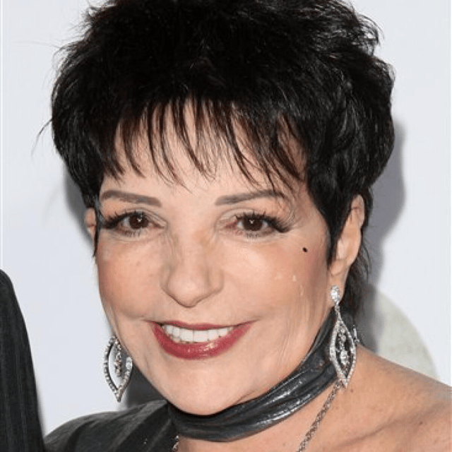 Liza Minnelli Now