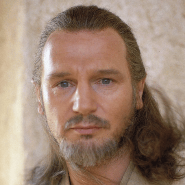 Qui-Gon Jinn / Liam Neeson