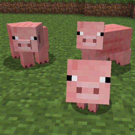 Minecraft Pig