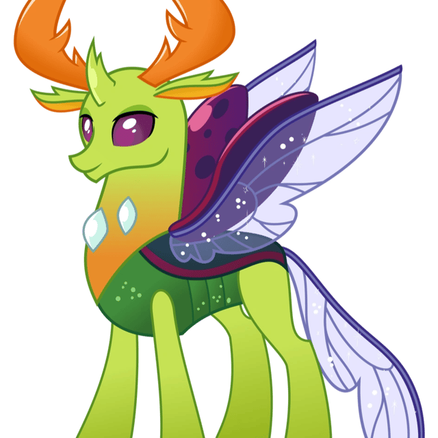 Thorax MLP