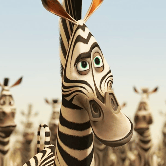 Marty From Madagascar Image