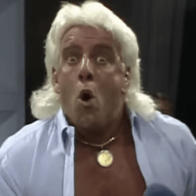 Ric Flair Image