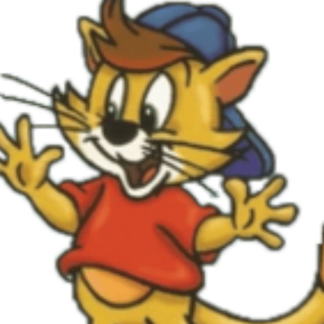 Casey Cat Image