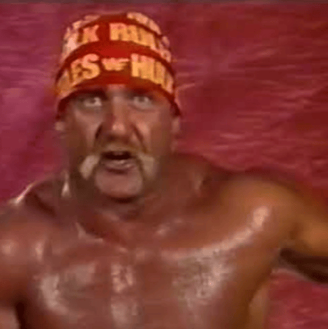 Hulk Hogan prime Image