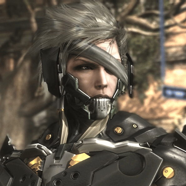 Raiden (MGR:R) Image