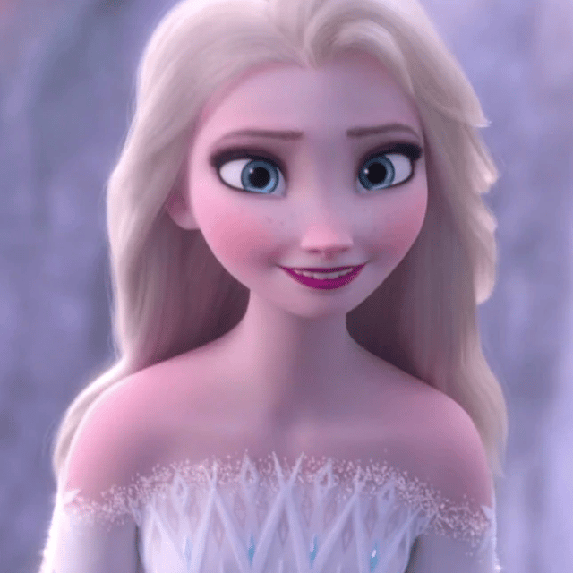 Elsa v3 Image